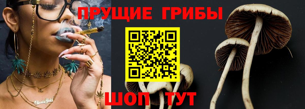 Псилоцибиновые грибы Magic Shrooms  Вход с VPN  Галлюциногенные грибы MAGIC MUSHROOMS  Мытищи 